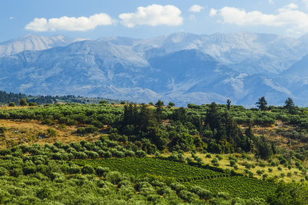 picturesque plateau in Greece on the island of Creteの写真素材