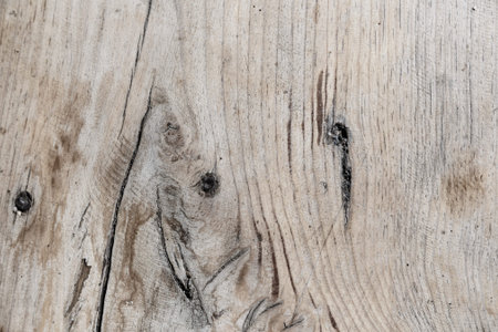 Wood Texture With Natural Pattern