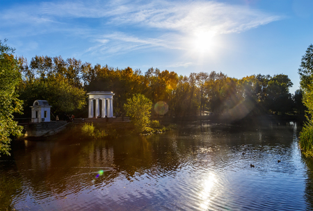 Pond in autumn, yellow leaves, reflectionの写真素材