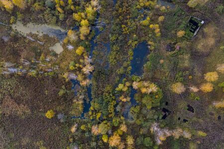 Nature and landscape: aerial view of forest and lakes, autumn leaves, foliage, greenery and trees in a wilderness landscapeの写真素材
