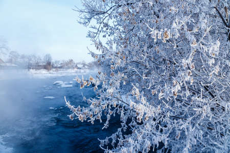 Winter nature landscape. Frosty trees on river side. Winter morning sunrise.の写真素材