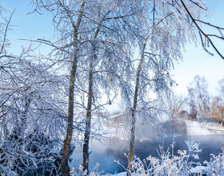 Fabulous winter landscape on the river. Fog. Bright winter sunny day. Winter in Russia. Christmas card. New Year.の写真素材