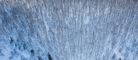 White frozen forest and river in winter. Aerial view of nature in Ural, Russiaの写真素材