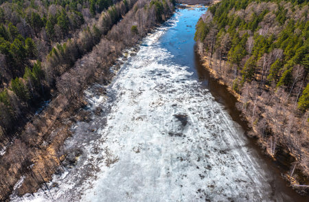 Aerial view on the forest and river in ice. Beautiful natural landscape at the summer time