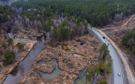 Green forest, swamp and small river captured from above with drone.の写真素材