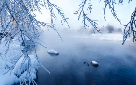 winter landscape with a snow-covered river bank, trees covered with hoarfrost, fog and the rising sun over the riverの写真素材