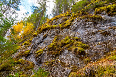 Moss on the rock. Stolby national park in Ural. Forest and a large stone with moss. Ural nature landscape. Olenji ruchjiの写真素材