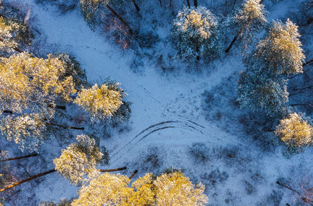 Aerial drone view of road in idyllic winter landscape. Street running through nature from a birds...
