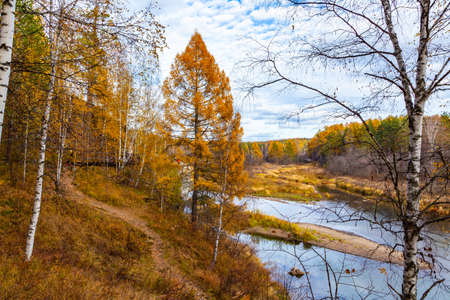 autumn landscape with river and pine-tree on sunset.の写真素材