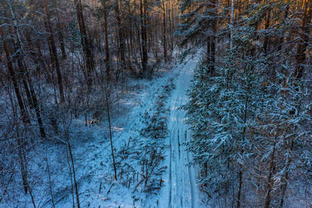 Aerial view at winter forest. Pine trees as a background. Winter landscape from air. Natural forest background. Forest background from drone.の写真素材