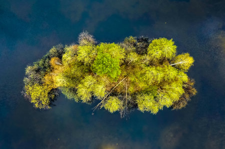 Birds eye view of pond, lake and a small island with green trees. Aerial, drone nature photography taken from above.の写真素材