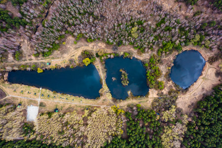 Aerial view of the small pond in the middle of forest. A small dick on shore. Drone footageの写真素材