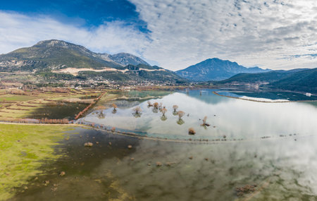 Flight over trees grow in water. The flooded valley somewhere in Greece. The flooded fields, roads,...
