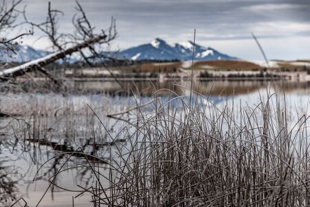 Landscape of a specular reflection in the lake, a dry grass, a cane and snags in the foreground, mountains and the forest on a background, ice on water, grass is covered with hoarfrost, tranquillityの写真素材