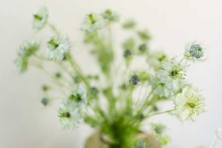 a bouquet of daisies in a glass vase stands on a table on a white background, depth of field, side effect, defocus, macrophotography, bokehの写真素材