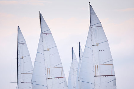 multiple sails at the sailing regatta in the Gulf of Finland at cloudy weather, hot race of several...