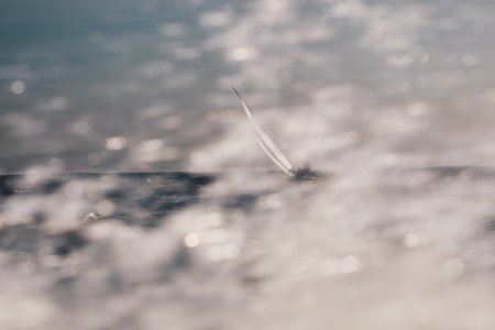 Sailing regatta in the Gulf of Finland at sunset, sailing yacht competing in a race, splashing water from under the boat, teamwork, board the boatの写真素材
