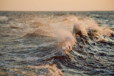 The wave splashes into splashes in the rays of sun at sunset