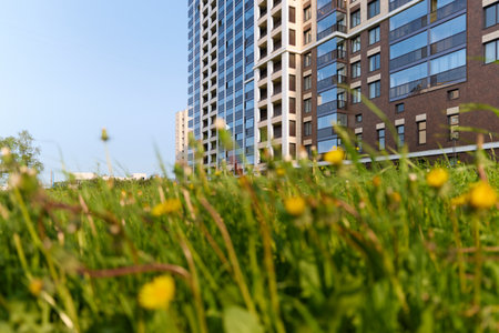 bottom view of the residential complex through a field of dandelions at sunset, branches of lilac, rays of the sunの写真素材