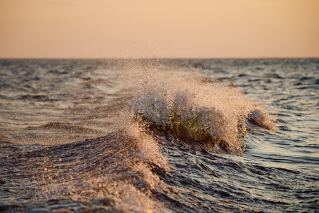 The wave splashes in the rays of sun at sunset