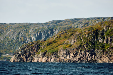 the coast of the Barents Sea at sunny weather, the rocky shore with colourful arctic carpet of moss, yagel, Tundra at autumnの写真素材