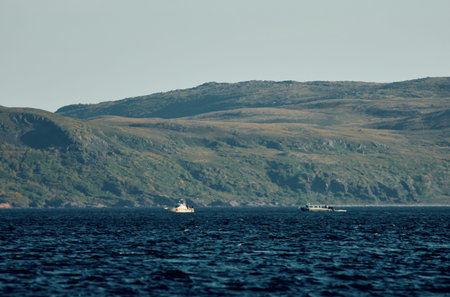 the coast of the Barents Sea, boats in the sea, the rocky shore with colourful arctic carpet of...