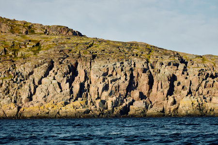 the coast of the Barents Sea at sunny weather, the rocky shore with colourful arctic carpet of moss, yagel, Tundra at autumnの写真素材