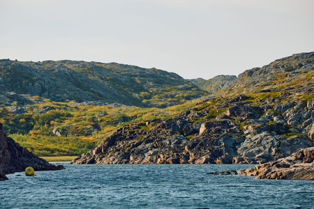 the coast of the Barents Sea at sunny weather, the rocky shore with colourful arctic carpet of moss,...