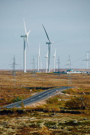 A field with windmills, colourful arctic carpet of moss, yagel, sunset, Tundra at autumn, tundra...