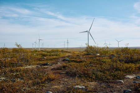A field with windmills, colourful arctic carpet of moss, yagel, sunset, Tundra at autumn, tundra...