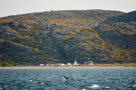 the coast of the Barents Sea at sunny weather, the rocky shore with colourful arctic carpet of moss,...