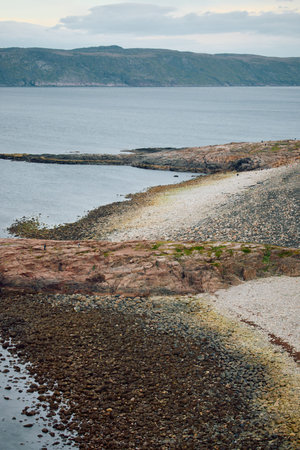 the coast of the Barents Sea at sunset, the rocky shore with colourful arctic carpet of moss, yagel,...
