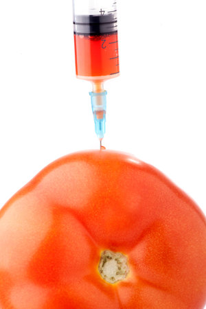 Big red tomato with a syringe in it. Concept for GMO.の写真素材