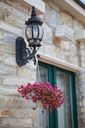 A flower pot with a flower hanging on a lamp on a stone wallの写真素材