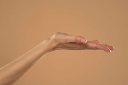 Female hand and open palm isolated on beige background.の写真素材