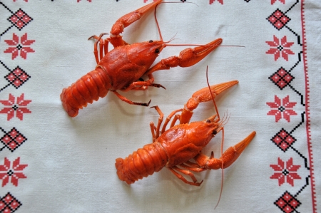 crayfish,の写真素材