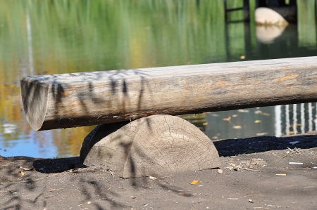 Wooden bench in autumnの写真素材