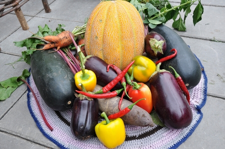 Autumn gifts of natureの写真素材