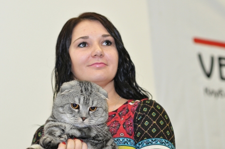 International cat show のeditorial素材