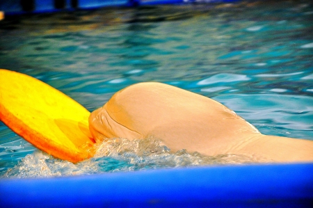 Dolphinariumのeditorial素材