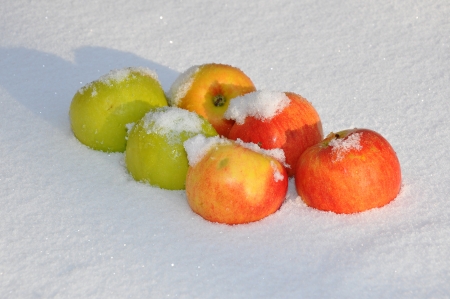 For the song Apples on the snow singer Michael Muromovaの写真素材