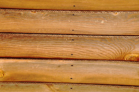 Wood texture with natural patterns