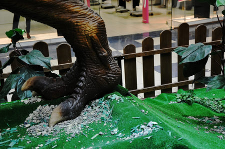 Dino Parkの写真素材