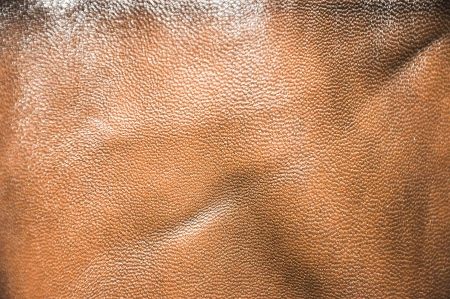 Leather textureの写真素材