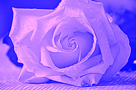Rose for airbrushingの写真素材