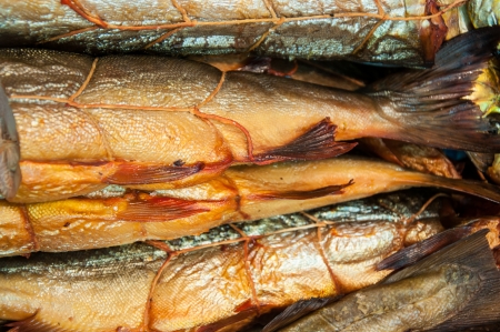 Fish assortment of smoked delicaciesの写真素材