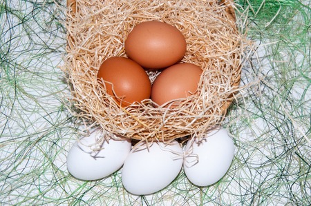 Fresh eggs for the feast of Easter, the radiant resurrection of Christ