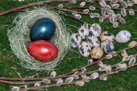 A pussy-Willow sprig and Easter egg for the feast of the radiant resurrection of Christの写真素材