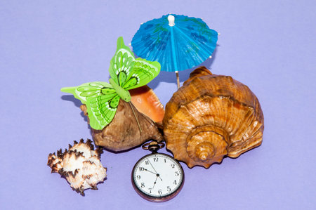 Seashell and hours of time to assemble in summer vacation