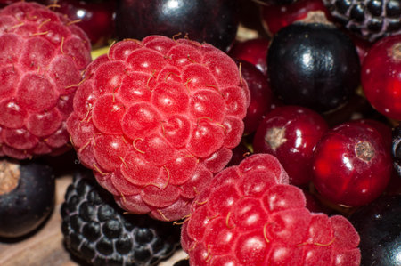 Assorted from ripe fresh juicy summer berries